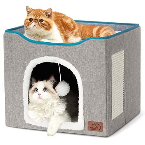 The Best Cat Beds for Traveling Getaway Couple