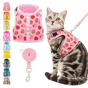 BINGPET Cat Harness and Leash Set Escape Proof, Fashionable Adjustable Mesh Harness for Walking, Soft Cute Breathable Easy Control Cat Vest for Kitten Puppy Small Medium Large Cats