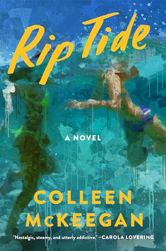 Rip Tide: A Novel view 2
