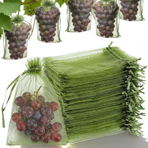 XLIUAX 100 bolsas protectoras para uvas, 15 x 10 cm, con cordón, fresas, uvas, bolsas de protección para frutas, protección contra avispas, pájaros y moscas de vinagre de cereza (verde)
