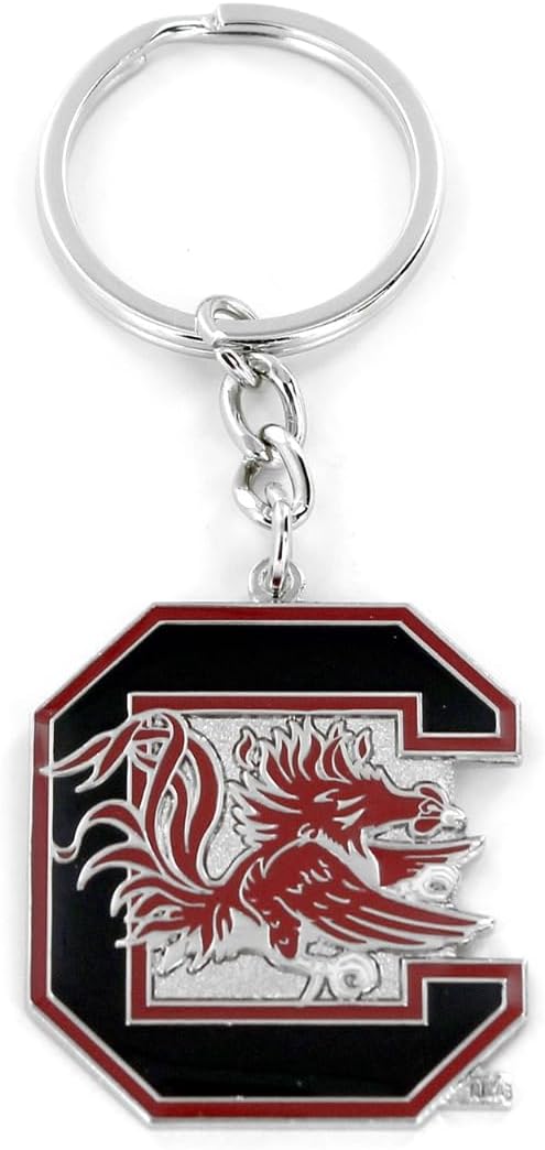 aminco NCAA unisex-adult Team Logo Keychain