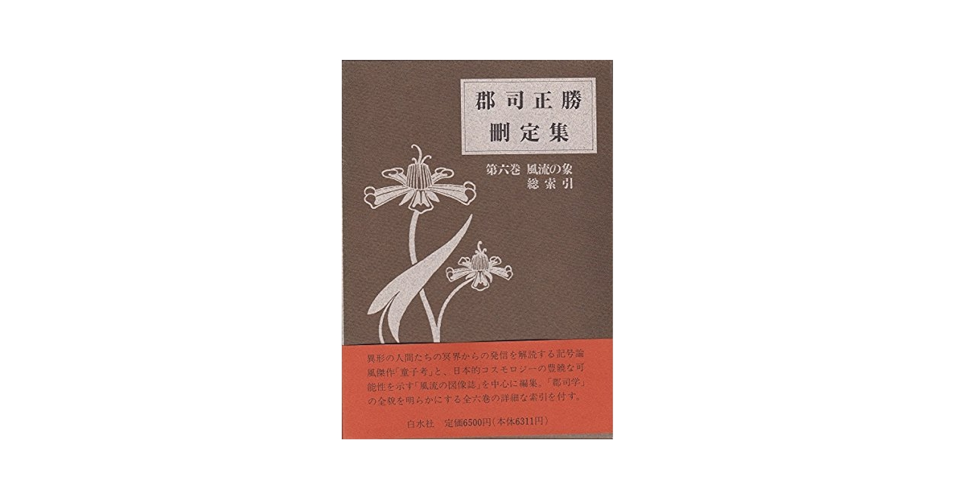Amazon.co.jp: 郡司正勝刪定集 第6巻 : 郡司 正勝: Japanese Books