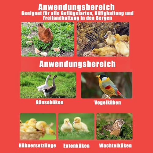 Tiiyee Küken Futterspender Tränke Set, Wachteltränke Klein Futterautomat HüHner Hühnertränke Tränken Aufhängen Geflügel Fütterungsgeräten Freilandhaltung Mit Drehverschluss Kombinierter Behälter