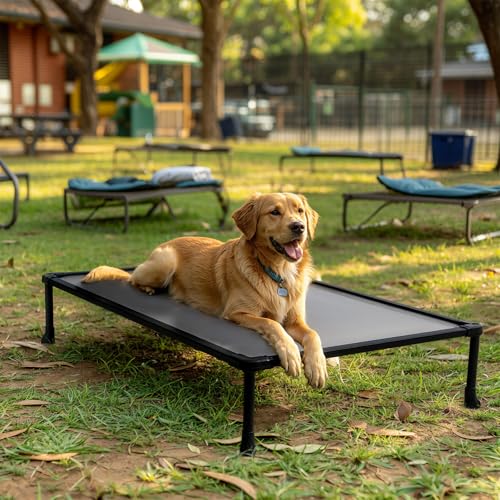 Veehoo Chew Proof Elevated Dog Bed, Indestructible Raised Dog Bed for Aggressive Chewers, Waterproof Dogs Training Platform for Indoor or Outdoor Use, 41 x27 inches, Grey