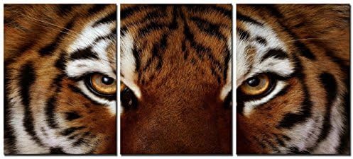 Natural art – Ferocity Tiger with Eye Staring Wall Art Painting Pictures Print On Canvas Animal The Picture for Home Modern Decoration