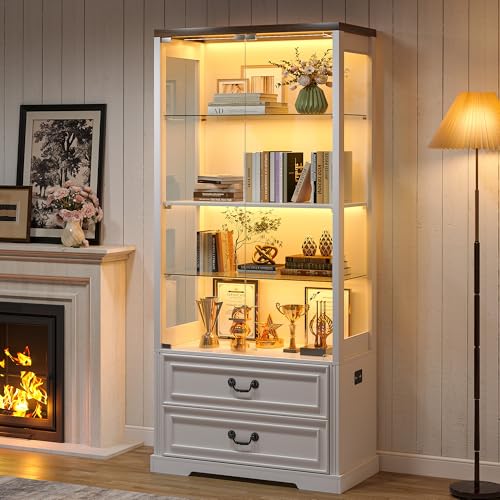 TAGELIER 67" Tall Display Cabinet with Glass Doors and 2
