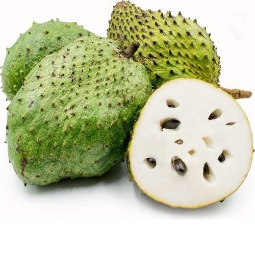 80 graines de corossol vert