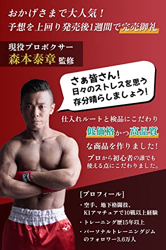 DASUNO サンドバッグ プロボクサー監修 パンチバッグ 自宅用