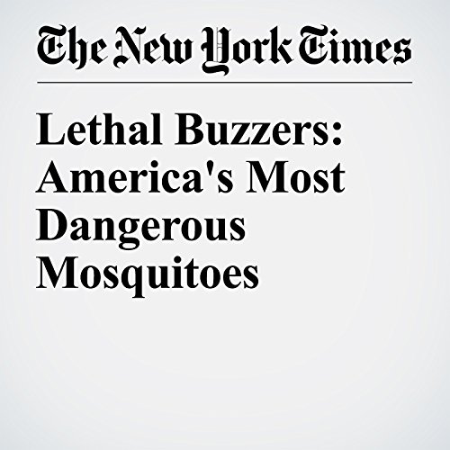 Lethal Buzzers: America's Most Dangerous Mosquitoes cover art