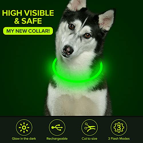 Colaseeme Led Dog Collar Light Up Dog Collars 1 Count Usb Rechargeable Tpu Glow Safety Basic Dog Collars For Large Medium Small Dogs (Green) #TOP2