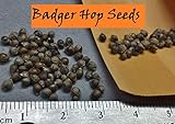 Wild Badger - Hop Seeds (50 Seeds)