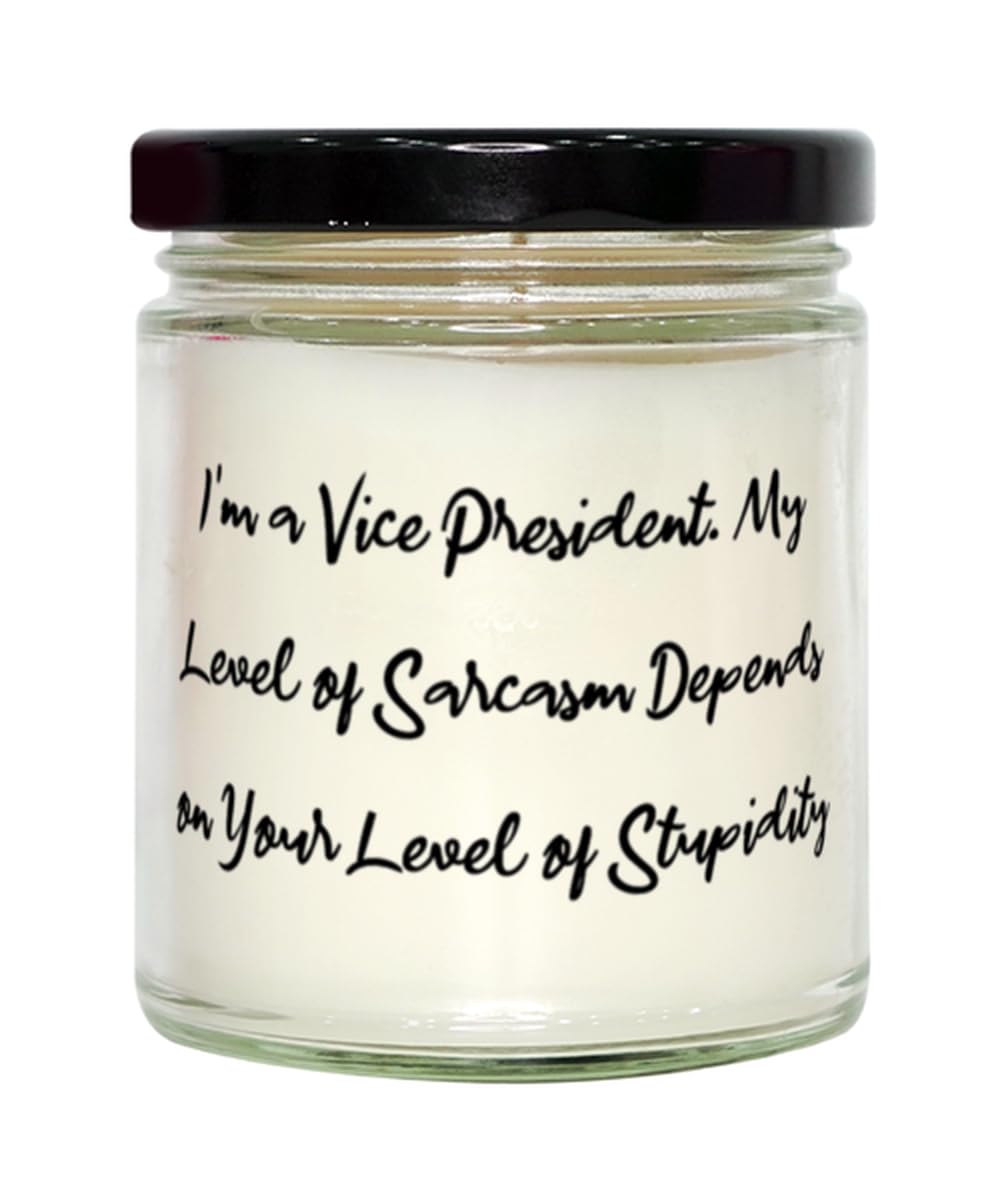 Unique Idea Vice President Gifts, I'm a Vice President. My, Appreciation Birthday Scent Candle Gifts For Colleagues From Friends