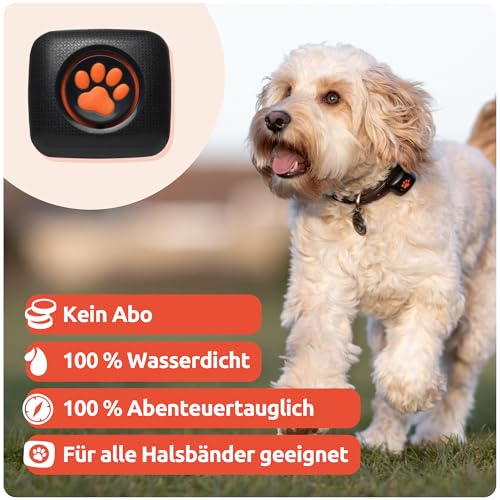 PitPat Aktivitäts & Fitness Tracker für Hunde (ohne GPS) – kein Aufladen oder Abo erforderlich – Geeignet für alle Hunde und Halsbänder – Intelligenter Haustier Aktivitätstracker – 100 % wasserdicht