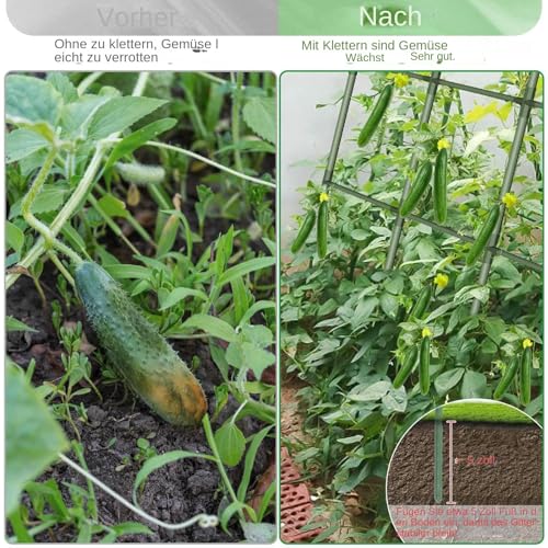 Treillis de concombres pour le jardin support stable en métal - 8