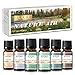 EUQEE Juego de Aceites Esenciales para Humidificador, Nature Air - Brisa Marina, Pino Forestal, Bambú y Teca, Madera de Cedro, Sándalo, Fresia - 6 x 10 ml Aceites Aromáticos