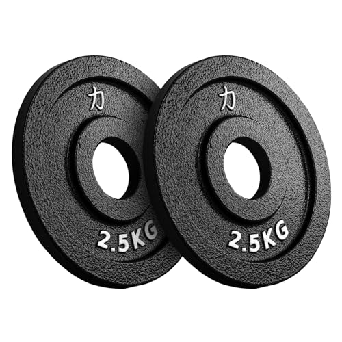 Strengthshop Riot Gusseisenscheiben - 1.25 kg - 5 kg, Paar - Cast Iron...