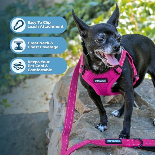 Image of Best Pet Supplies Voyager Adjustable Step-in Flex Breathable Mesh Dog Harness for Small Medium Large Dogs Leash Set (Fuchsia), XS