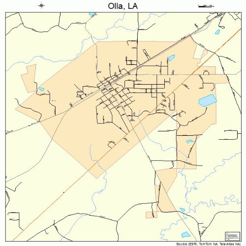 Large Street & Road Map of Olla, Louisiana LA Printed poster size