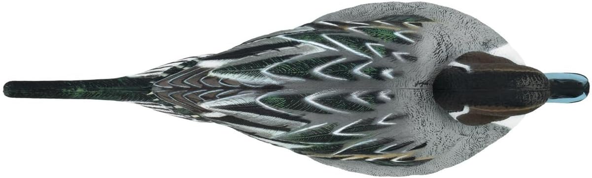 Final Approach Live Pintail Floater Duck Decoys, 6 Pack in Black