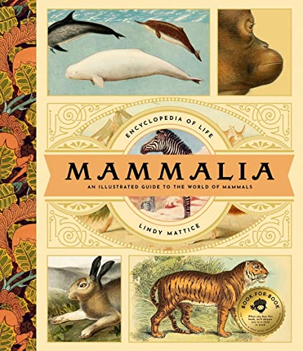 Mammalia: An Illustrated Guide to the World of Mammals (Encyclopedia of Life, 1)