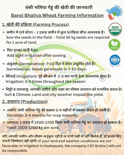 Image of Organic Bansi Wheat Grains Seeds (10Kgs) | Bansi Bhaliya Gehu Ka Seeds | For Farming, Sowing & Agriculture Use | Produce of India | 100% Natural & Non-GMO | By G7 Grains