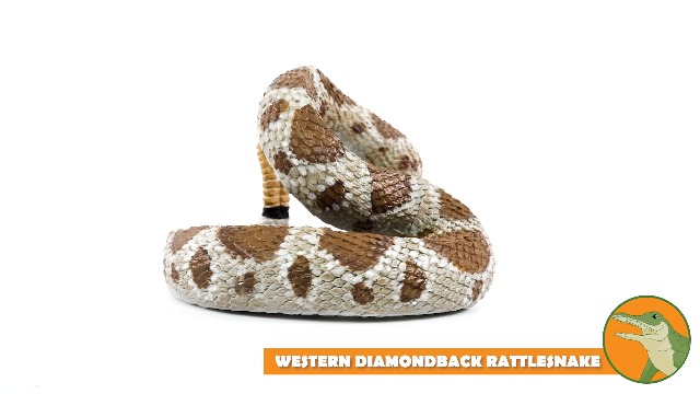 Amazon.com: Safari Ltd. Western Diamondback Rattlesnake