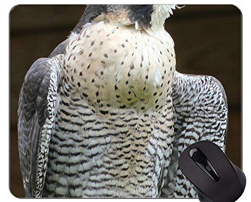 Eagles Non-Slip Rubber Gaming Mouse Pad,Coopers Hawk Rubber Mouse Pad