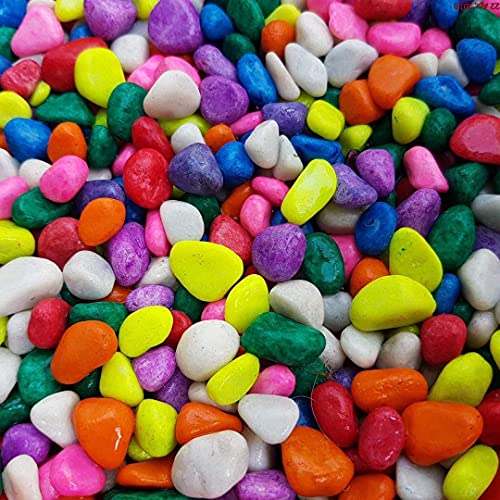 Image of Maalavya Multi-Color Pebbles for Decoration - Mixed Pebbles for Plants Pots, Fish Tank Aquarium, Table, Vase Fillers (1)