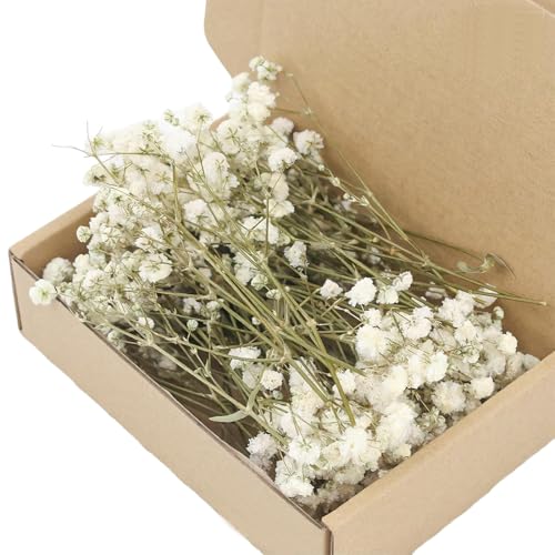 Gnalia Set De 1 Caja De Flores Artificiales De Gypsophila Realistas Al Tacto Para Bodas, Guirnalda Floral Para Decorar El Hogar.