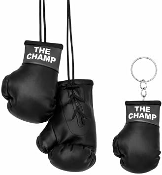 Mini Boxing Gloves