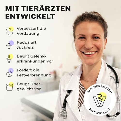 HEY HOLY Premium Trockenfutter für Bulldoggen 100% getreidefrei | 7kg Hundefutter für ausgewachsene Bulldoggen mit Lachs | Hochverträglich aus natürlichen Zutaten