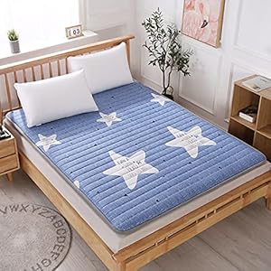 Vloermatras traditionele tatami futon matrassen topper, Japanse tatami slaapvloer mat katoen dikker quilt vouwbaar matras kussen for studenten slaapzaal, a, twin, Quinch-3006