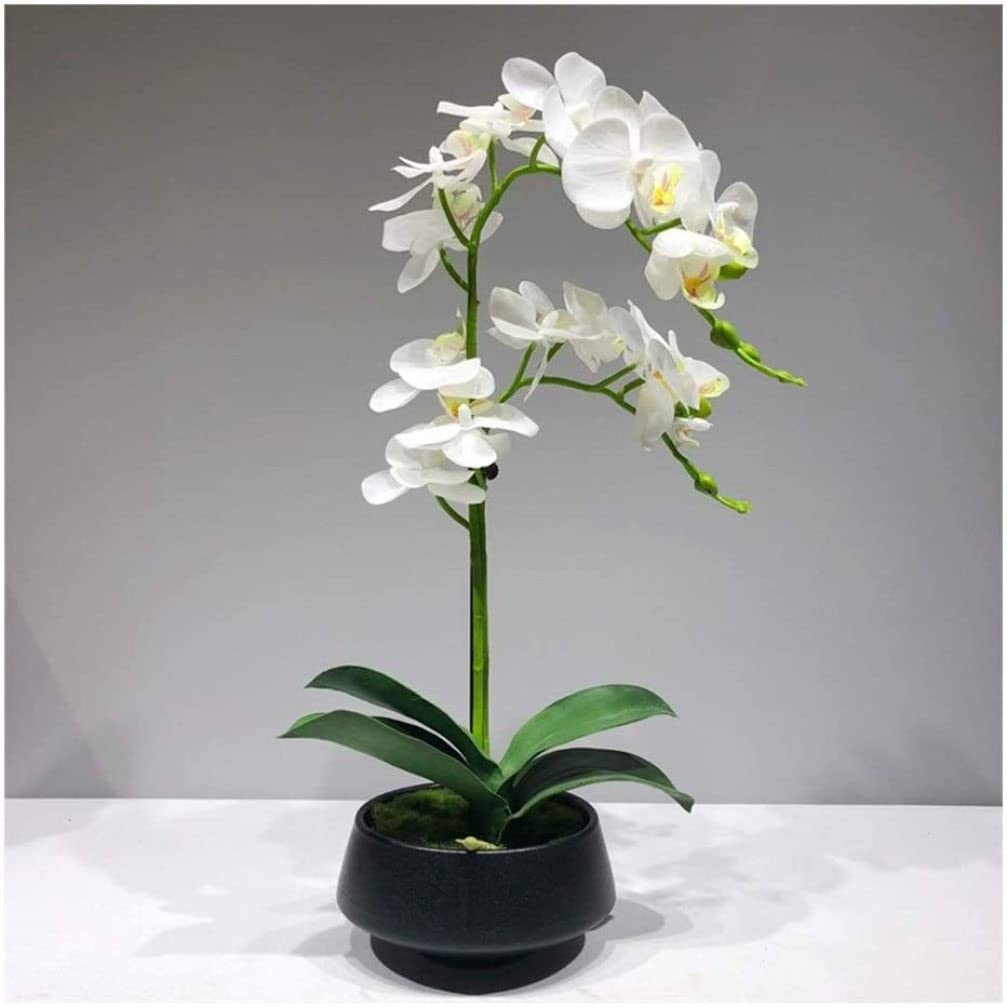 Orchidée artificielle en pot blanche Phalaenopsis fleur de soie