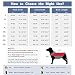 IREENUO Wasserdichter Hundemantel, Hundejacke Winter Winddichter Warmer Hunderegenmantel für Mittelgroße bis Große Hunde mit Sicheren Reflexstreifen und Verstellbarem Brustriemen (XL, Red)