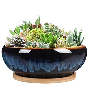 SQOWL 7 Inch Round Ceramic Succulent Planter Pot Drip Glazed Shallow Planter with Drainage Bamboo Tray for Indoor Plants SQOWL 7 Inch Round Ceramic Succulent Planter Pot Drip Glazed Shallow Planter with Drainage Bamboo Tray for Indoor Plants
