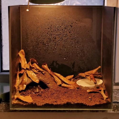 Image of BNOSDM Reptile Soil Substrate Fluffy Small-Strand Reptile Substrate and Snake Bedding Clean Natural Terrarium Bedding for Lizards Snakes Tortoises Tarantulas