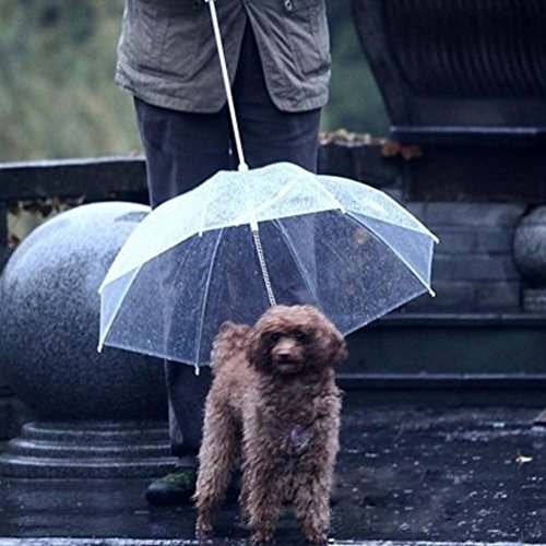 Haustier-Regenschirm-Hundeleine, transparent, wasserdicht, für Hunde/Katzen, trockene Spaziergänge bei Regen und Schnee