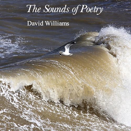 The Sounds of Poetry - David Williams cover art