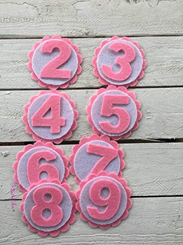 CORONA TELA PERSONALIZADA CUMPLEAÑOS INFANTIL SESIÓN FOTOS NIÑA DIBUJO GLOBOS ROSAS Y TURQUESAS NUMEROS 1 AL 9 INCLUIDOS ENTREGA 1 O 2 DÍAS