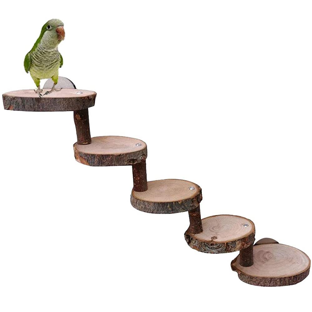 Scala E Piattaforma Per Criceti GALPADA - Giocattolo In Legno Per Arrampicata E Riposo (Colore Casuale)