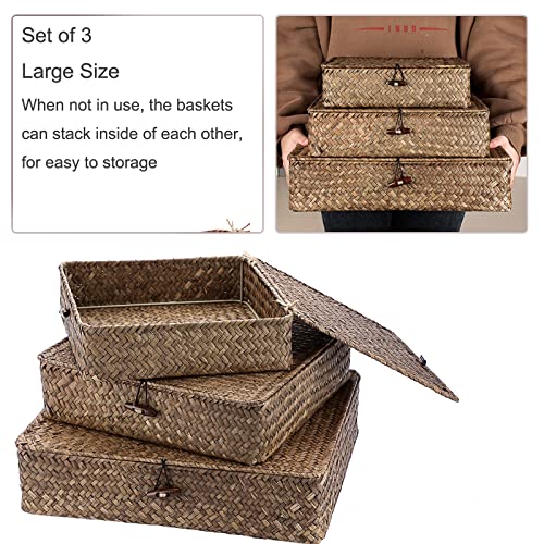 Image of Hipiwe Set of 3 Flat Wicker Basket Bins with Lid - Handwoven Seagrass Boxes