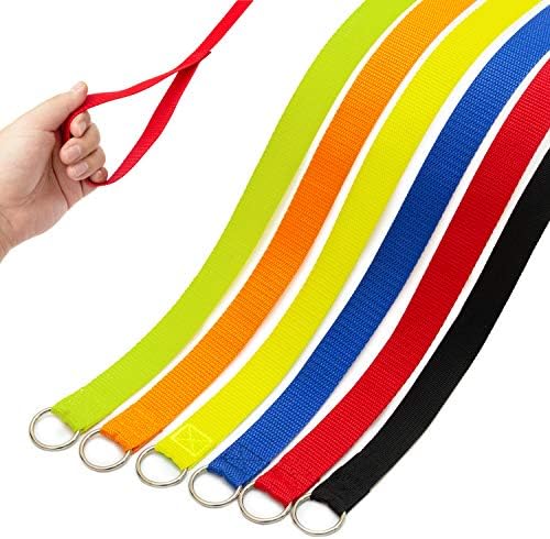 COVGOPI Slip Lead Dog Leash, 6 pcs Short Pet Leashes Slip Leads for Dogs Cats Grooming Shelter Rescues Walking Training,etc., 6 FT Strong Pulling Durable Dog Leash with O-Ring
