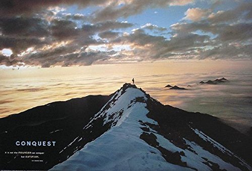 Poster Conquest (91cm x 61cm)