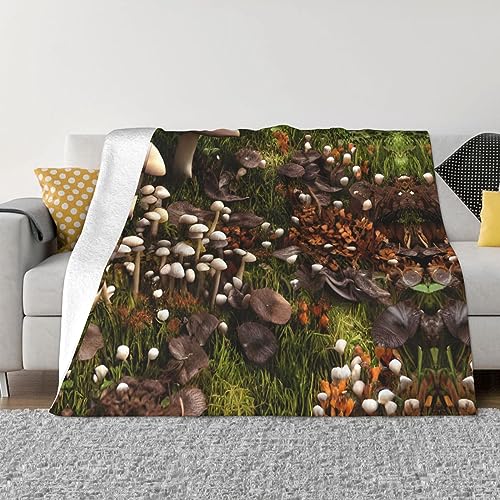 Couverture de canapé peluche douce double microfibre moelleuse toutes saisons