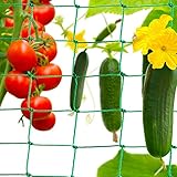 Tacto rápido: nuestra ayuda para enredaderas se puede fijar en vertical o inclinado en el suelo con los cuatro trabillas. Ya sea en el invernadero o en el jardín, nuestro enrejado se puede fijar rápida y fácilmente en cualquier lugar.