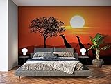 Photo Gallery oedim - adesivi murali per foto | giraffe al tramonto del sole savana | 600 x 300 cm | adesivo in vinile adesivo da parete | Photo Gallery oedim - adesivi murali per foto | giraffe al tramonto del sole savana | 600 x 300 cm | adesivo in vinile adesivo da parete |
