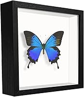 Vista 40 de Caja expositora de 8 x 8 pulgadas con calcomanías de letras, vitrina para recuerdos, artículos de bebé, recuerdos de boda, manualidades, boletos