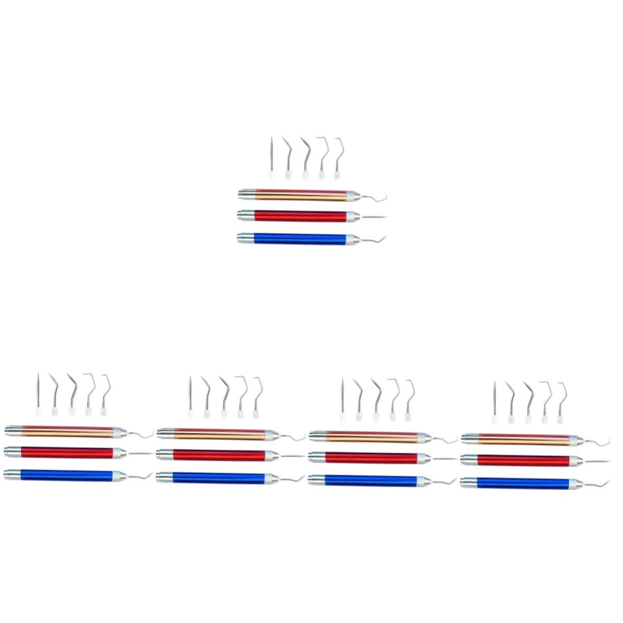 Gadpiparty 5 Sätze Relief Branding Tool Jäter Werkzeug Jäten Liefert Carving-versorgung Diy Schnitzen Versorgung Unkrautstecher Aus Vinyl Präzisions-unkraut-kit Rostfreier Stahl