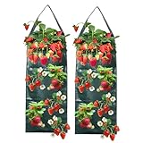 Eniyou 2 Stück Erdbeer Pflanzsack Hängend Pflanzbeutel Hängend Erdbeeren Pflanztaschen für Draußen Pflanzsäcke Zum Hängen mit 8 Löchern Geeignet für Erdbeeren, Tomaten und Gemüsepflanzen