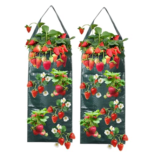 Eniyou 2 Pièces Sac de Plantation Suspension Fraisier Sac de Culture Potager Suspendu Sacs Plantation Respirant avec 8 Trous Adapté aux Fraises, Légumes et Tomates (Vert Foncé)